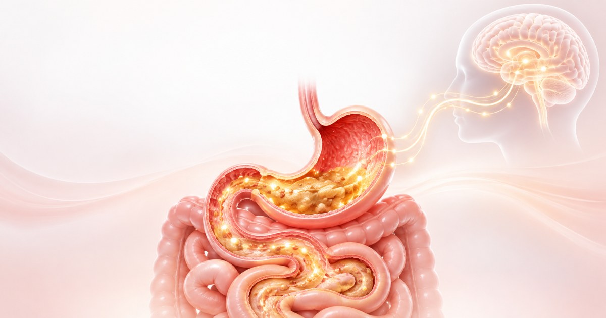 Is It Normal to Feel Full for Hours on a GLP-1? Expected Slower Digestion vs. Warning Signs